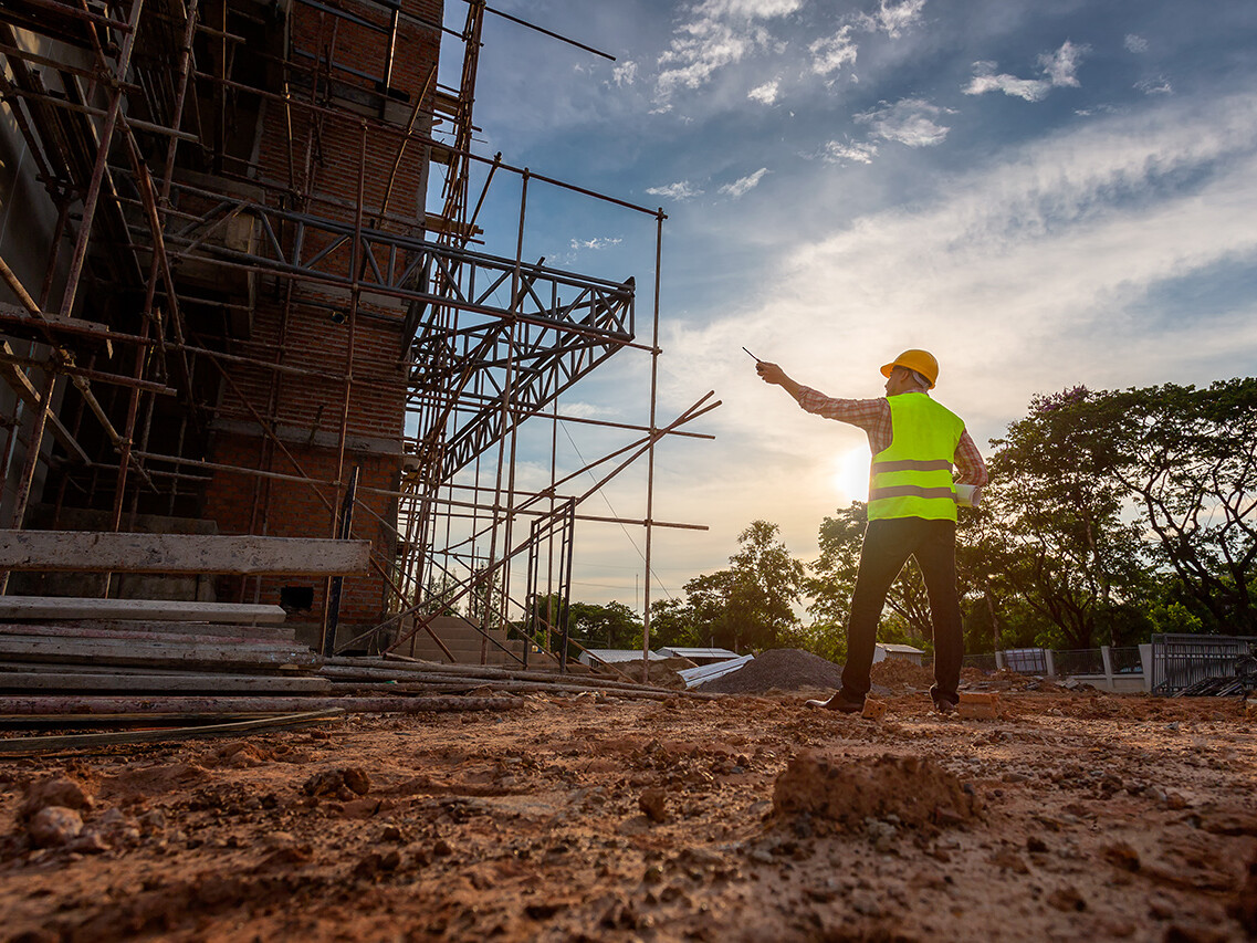 estaleiros de obras atraem roedores